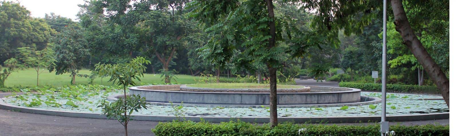 Banner 2_Lotus Pond